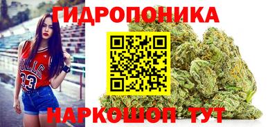 скорость Славгород
