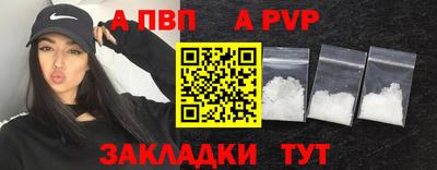прущие крисы Кингисепп