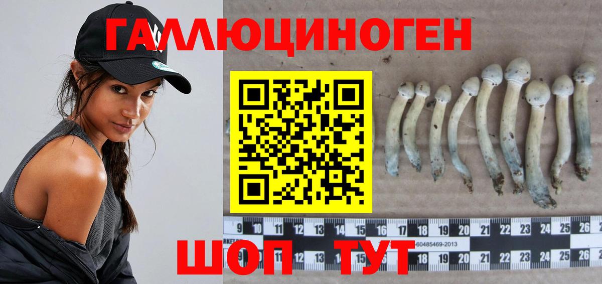 Псилоцибиновые грибы MAGIC MUSHROOMS Лабытнанги